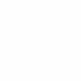 logo trans-04 v2-04
